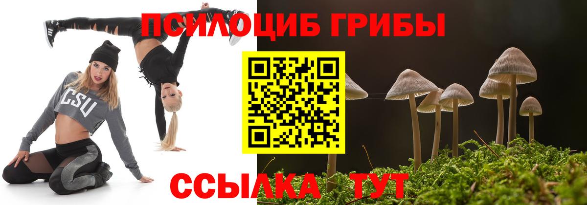 Псилоцибиновые грибы Magic Shrooms  Галлюциногенные грибы мухоморы  Орехово-Зуево  Вход с VPN 